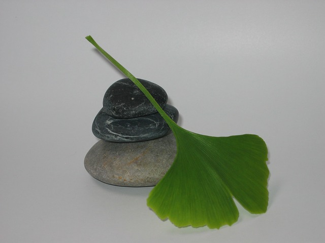  Gingko Biloba