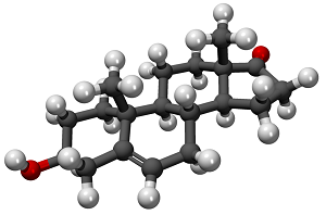 dehydroepiandosterone hormone