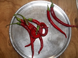 Cayenne