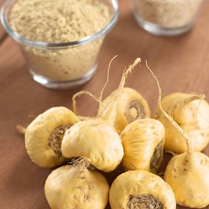 Maca root