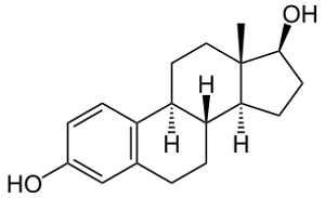 Estrogen