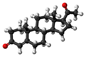 Progesterone