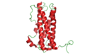 Prolactin