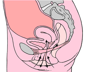 Kegel exercise