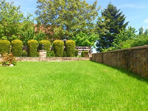 Front lawn