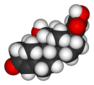 Cortisol