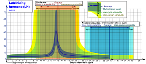 Luteinizing hormone