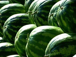 Watermelon