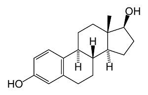 Estrogen