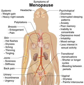 Menopause