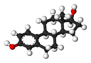 estrogen